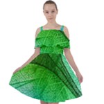3d Leaves Texture Sheet Blue Green Cut Out Shoulders Chiffon Dress