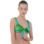 3d Leaves Texture Sheet Blue Green Front Tie Bikini Top