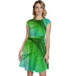 3d Leaves Texture Sheet Blue Green Cap Sleeve High Waist Dress