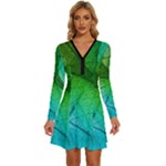 3d Leaves Texture Sheet Blue Green Long Sleeve Deep V Mini Dress 