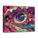 Human Eye Pattern Deluxe Canvas 20  x 16  (Stretched)