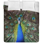Peacock Bird Feathers Pheasant Nature Animal Texture Pattern Duvet Cover Double Side (California King Size)