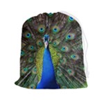Peacock Bird Feathers Pheasant Nature Animal Texture Pattern Drawstring Pouch (2XL)