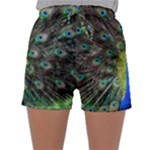 Peacock Bird Feathers Pheasant Nature Animal Texture Pattern Sleepwear Shorts