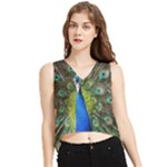 Peacock Bird Feathers Pheasant Nature Animal Texture Pattern V-Neck Cropped Tank Top