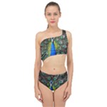Peacock Bird Feathers Pheasant Nature Animal Texture Pattern Spliced Up Two Piece Swimsuit