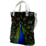 Peacock Bird Feathers Pheasant Nature Animal Texture Pattern Canvas Messenger Bag