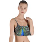 Peacock Bird Feathers Pheasant Nature Animal Texture Pattern Layered Top Bikini Top 