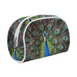 Peacock Bird Feathers Pheasant Nature Animal Texture Pattern Make Up Case (Small)