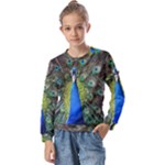 Peacock Bird Feathers Pheasant Nature Animal Texture Pattern Kids  Long Sleeve T-Shirt with Frill 