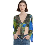 Peacock Bird Feathers Pheasant Nature Animal Texture Pattern Trumpet Sleeve Cropped Top