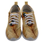 Vintage Peacock Feather Peacock Feather Pattern Background Nature Bird Nature Women Athletic Shoes