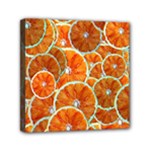 Oranges Patterns Tropical Fruits, Citrus Fruits Mini Canvas 6  x 6  (Stretched)