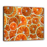Oranges Patterns Tropical Fruits, Citrus Fruits Canvas 20  x 16  (Stretched)