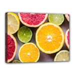 Oranges, Grapefruits, Lemons, Limes, Fruits Canvas 16  x 12  (Stretched)