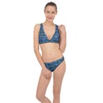 Fish Pike Pond Lake River Animal Classic Banded Bikini Set 