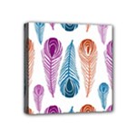 Pen Peacock Colors Colored Pattern Mini Canvas 4  x 4  (Stretched)