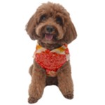 Grapefruit-fruit-background-food Dog Sweater