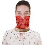 Grapefruit-fruit-background-food Face Covering Bandana (Adult)