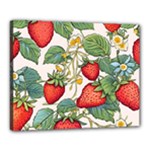 Strawberry-fruits Canvas 20  x 16  (Stretched)