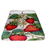 Strawberry-fruits Fitted Sheet (Queen Size)