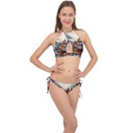 Village Reflections Snow Sky Dramatic Town House Cottages Pond Lake City Cross Front Halter Bikini Set