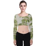 Watercolor Leaves Branch Nature Plant Growing Still Life Botanical Study Velvet Long Sleeve Crop Top