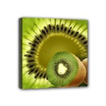Kiwifruit Mini Canvas 4  x 4  (Stretched)