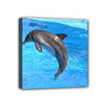 Jumping Dolphin Mini Canvas 4  x 4  (Stretched)