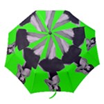gees louise springtime green Folding Umbrella