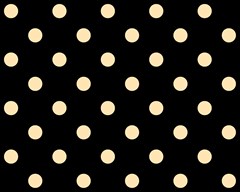74 polka dots peach orange on black 3000x2400