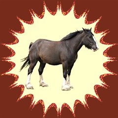 clydesdale51round