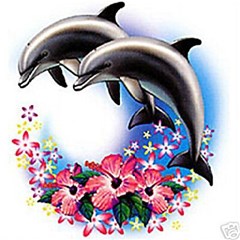 dolphins1
