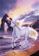 unicorn 14 07