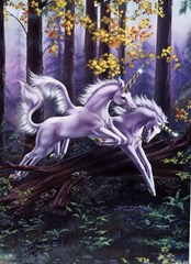 unicorn 18 07