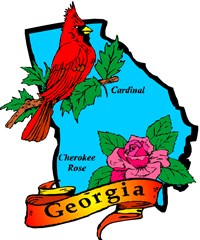 state flower georgia