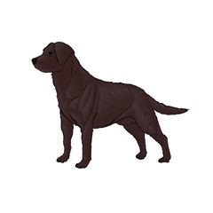 bw chocolate labrador retriever dog gifts