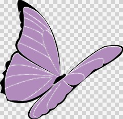 purple awareness butterfly2