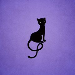 purple gracious evil black cat