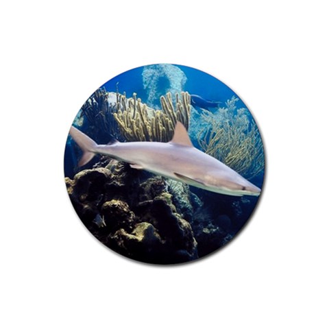 Reef Shark Fish Rubber Round Coaster (4 pack) from UrbanLoad.com Front