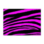 Pink Zebra Sticker A4 (100 pack)