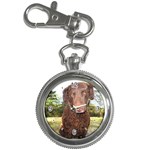 Use Your Dog Photo Curly Coated Retriever Key Chain Watch
