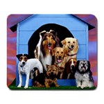 No Cats Allowed - Quality Large Dog Lovers Mouse Pad