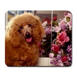 Sitting Pretty - Quality Large Dog Lovers Mouse Pad