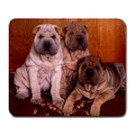 Threes Company Shar-Pei Puppies - Quality Large Dog Lovers Mouse Pad