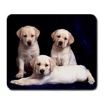Trinity Labrador Puppies - Quality Large Dog Lovers Mouse Pad