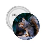Squirrel 2.25  Button