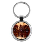 Cozy Couch-  Chow Chow Puppies - Quality Dog Lovers Round Keychain