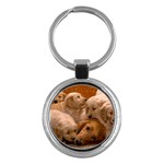 Having a Ruff Day - Quality Dog Lovers Round Keychain