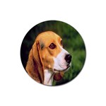 beagle Rubber Round Coaster (4 pack)